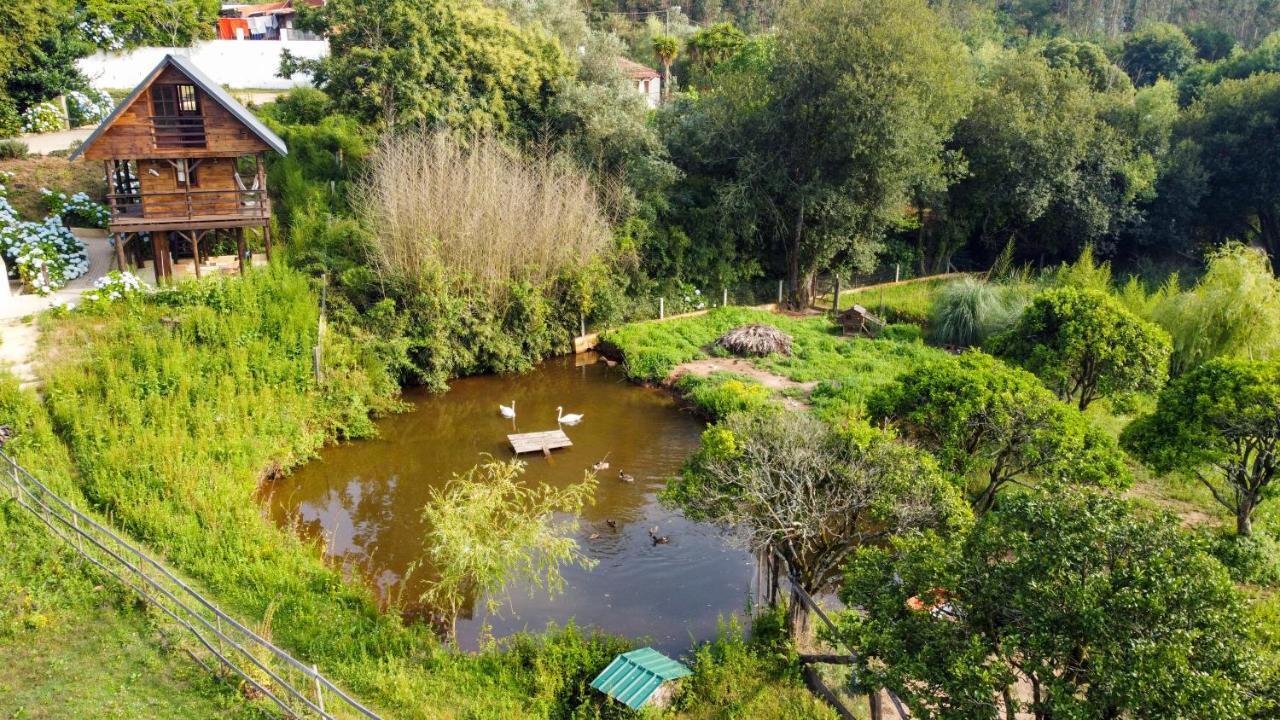 Vale Da Silva Villas - Quinta Албергария-а-Велья Экстерьер фото